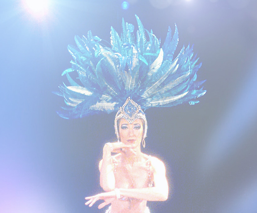 Plumas2