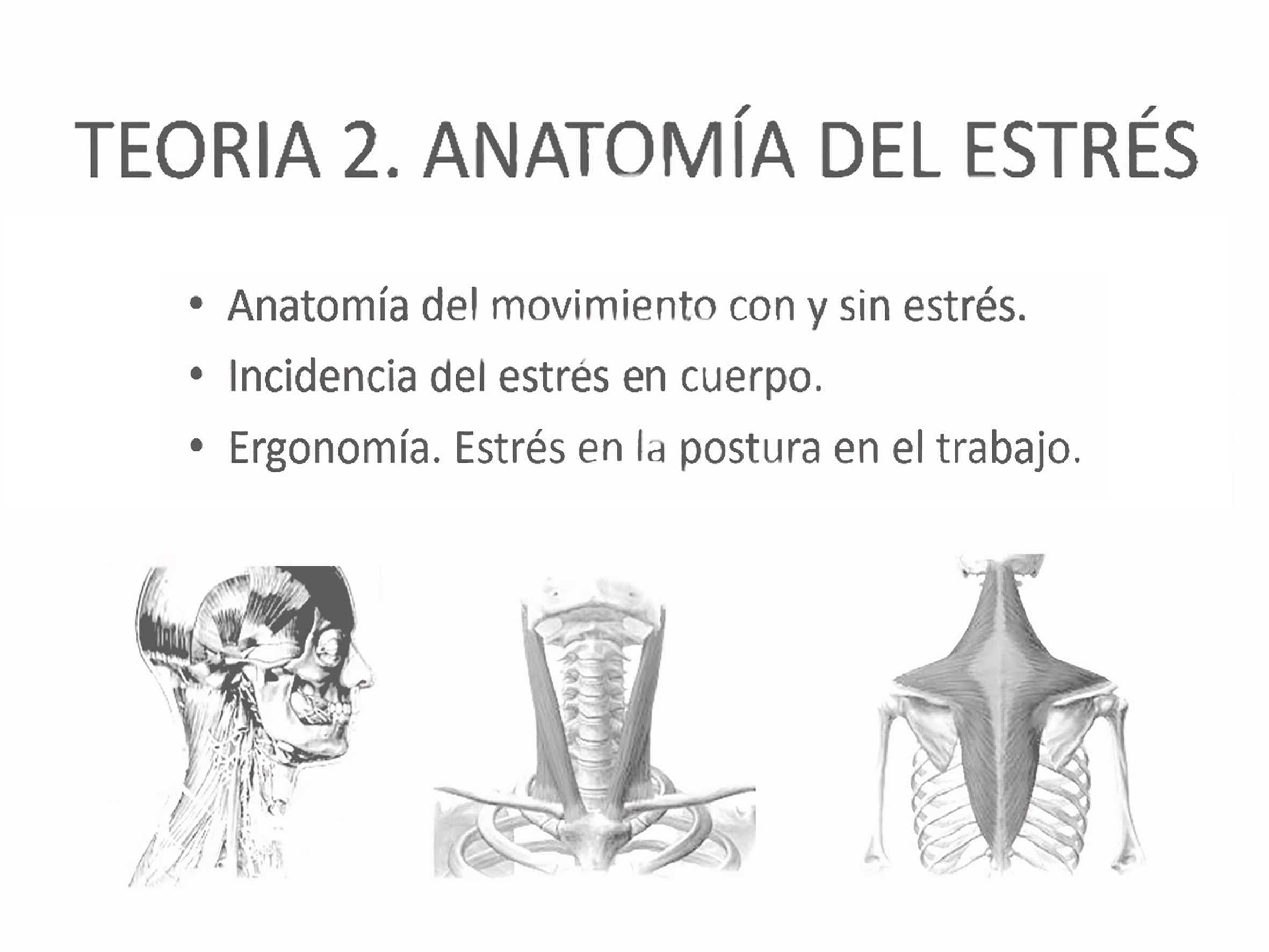 Teoría Anatomía del Estrés