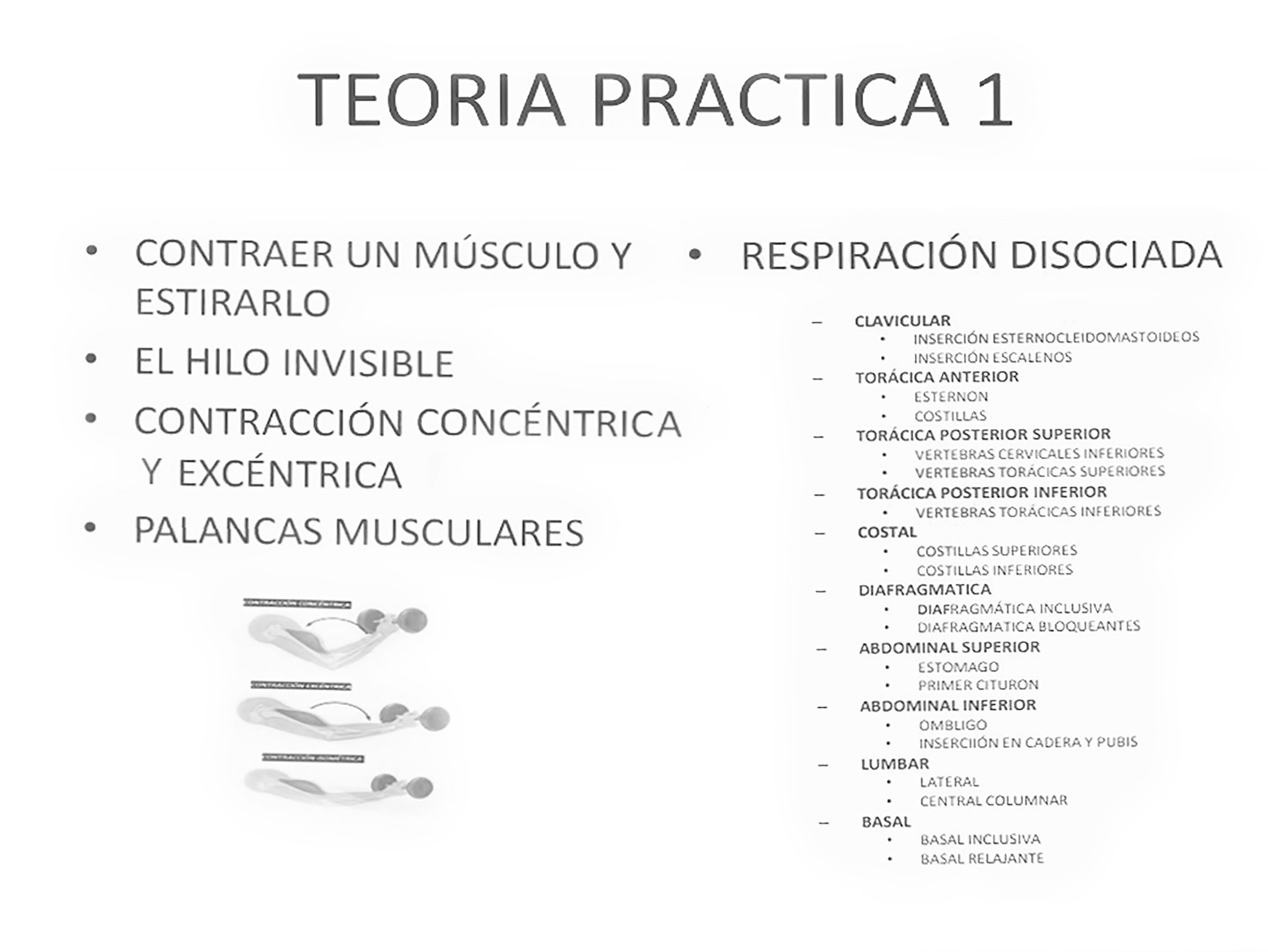 Teoría Practica