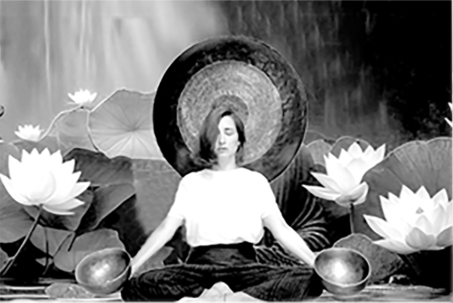 2Galeria de Yoga