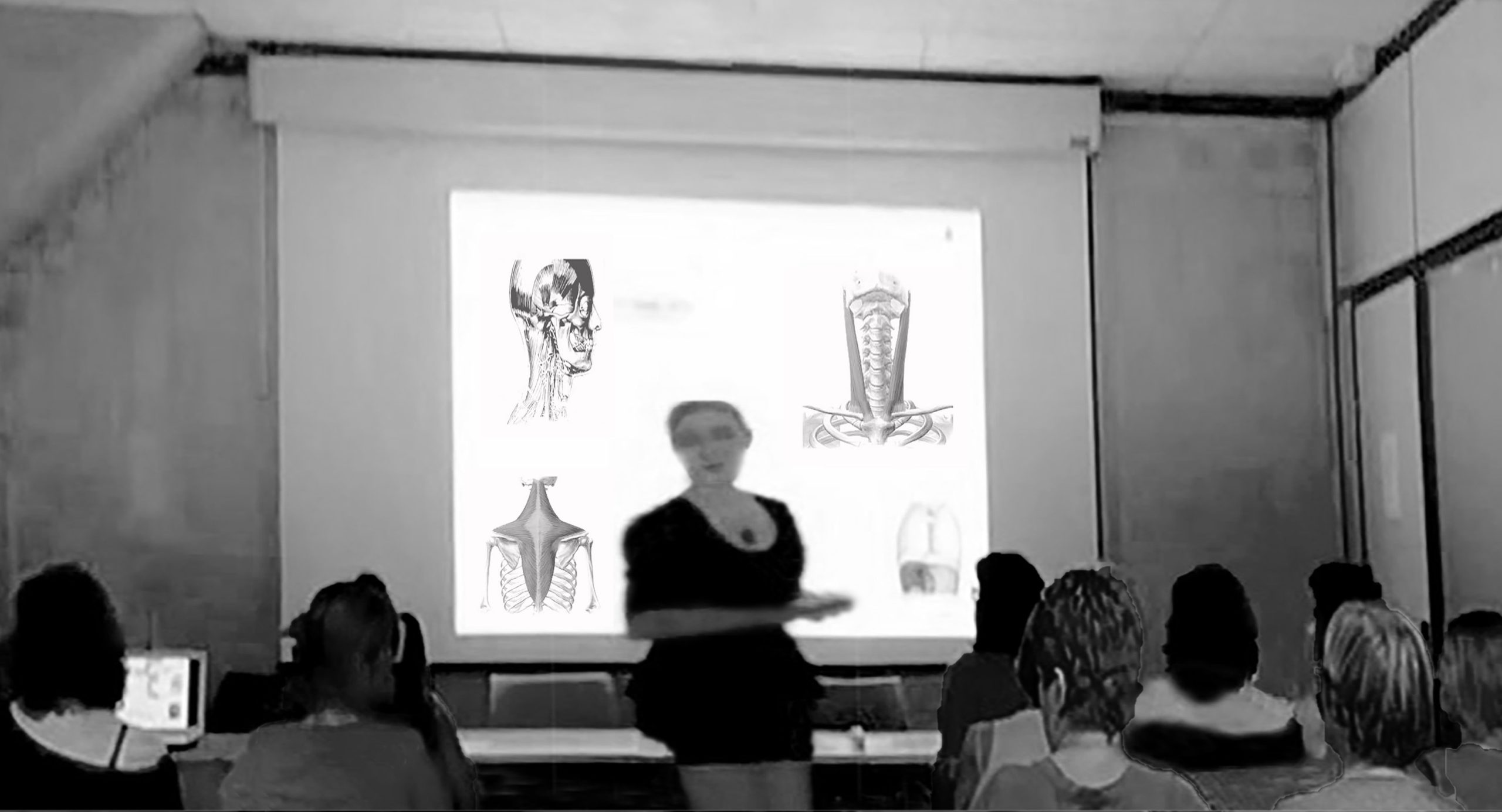 Conoce Mis Clases Ergonomia